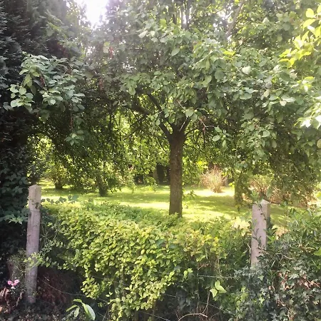 Villa Grande Maison De Montsecret-Clairefougere