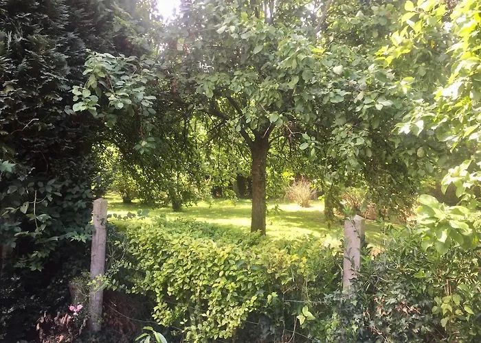 Villa Grande Maison De Montsecret-Clairefougere